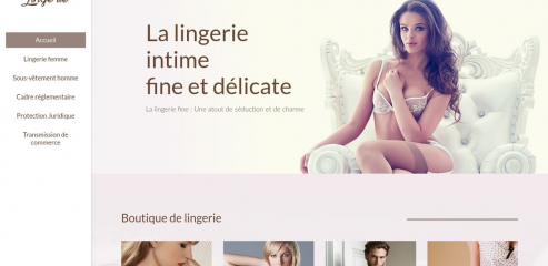 https://www.detaillants-lingerie.com